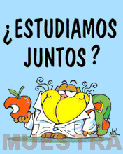 no curso 2006/2007